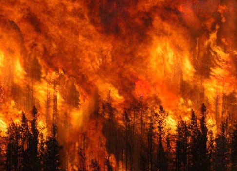 incendi.jpg