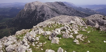 foto: SardegnaAmbiente