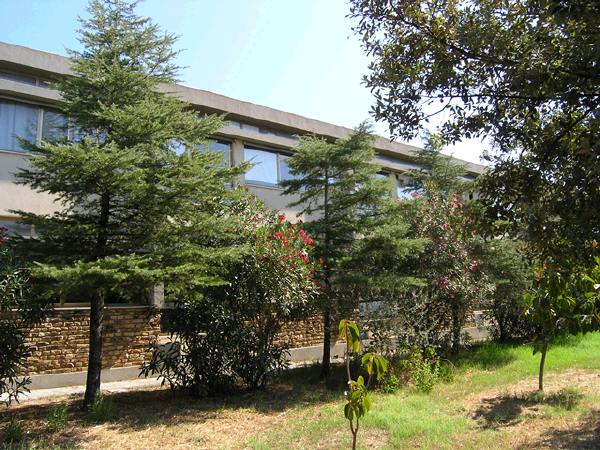 Fonte foto: sito ufficiale ITCG