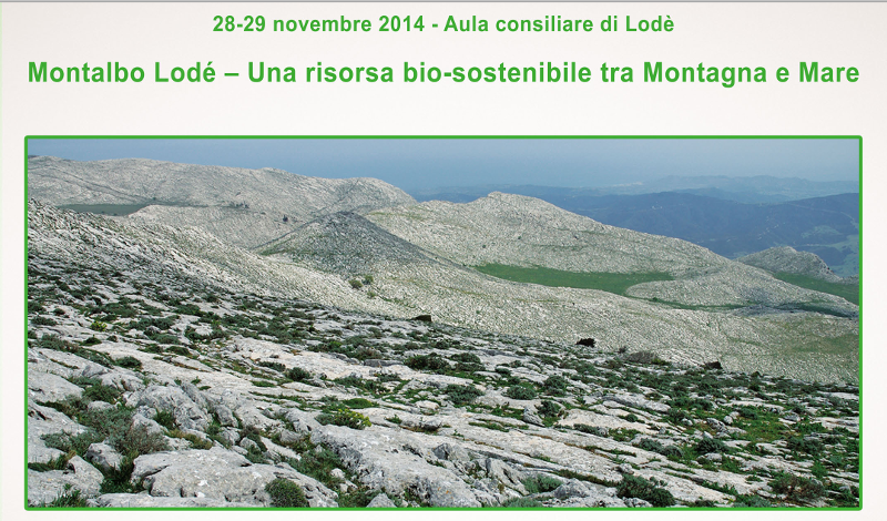 montalbolode.png