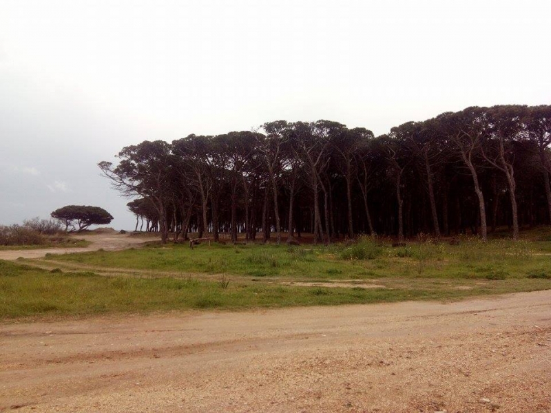 © siniscolanotizie.net