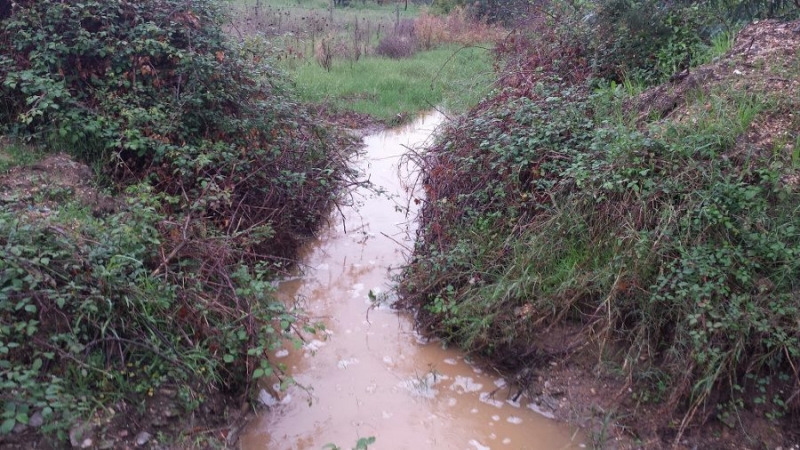 Foto inviata da un residente