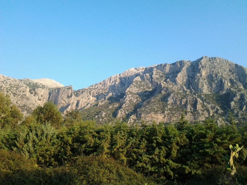 montealb20151.jpg