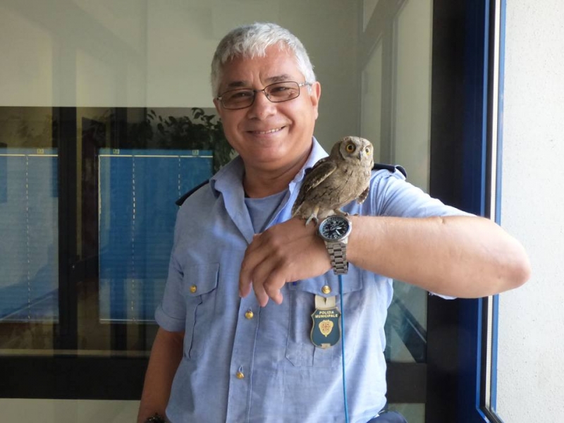 Foto inviata da Gian Pietro Biancu