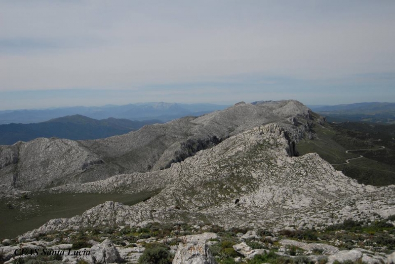 Fonte foto: CEAS Santa Lucia