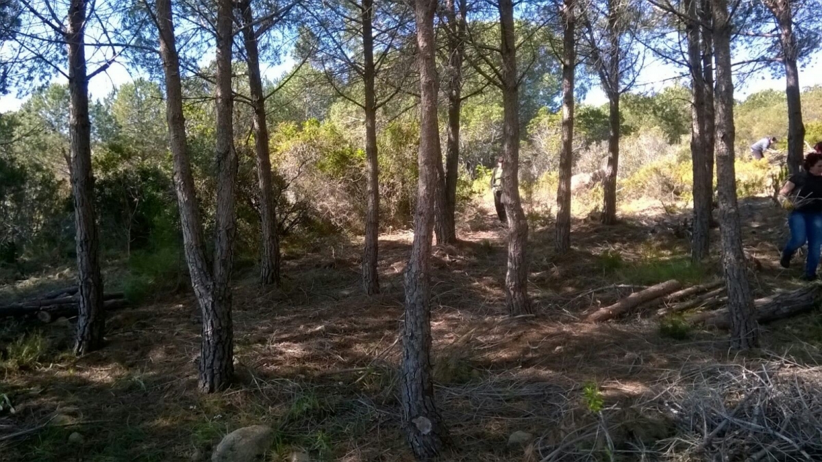 Foto inviate dai lavoratori ex Legler