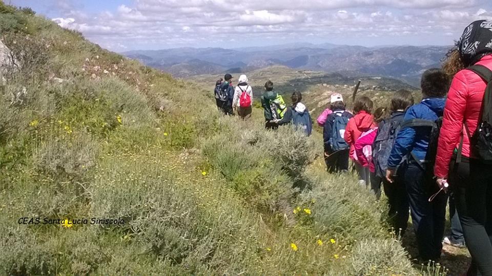 Fonte immagine: Maria Luisa Mason 