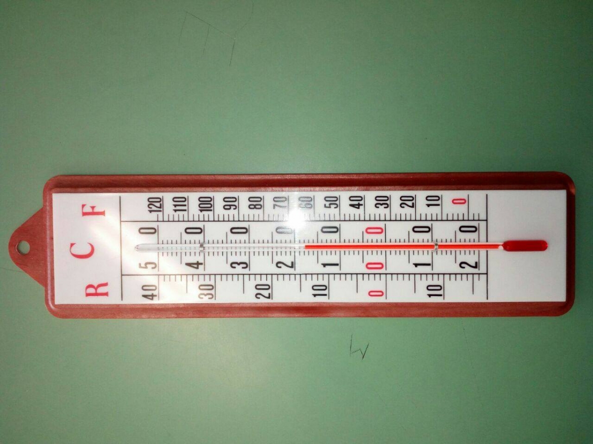 foto inviate dagli studenti