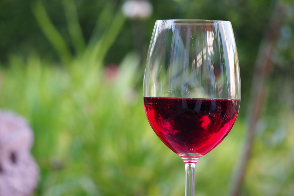 Vino.jpg